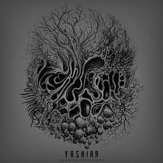 Yashira : Surmise (Descend)
